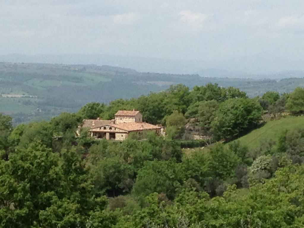 Luxury Villa Colle Dell'Asinello ,Proprietari ,Villa In Esclusiva Near Orvieto Guardea Номер фото